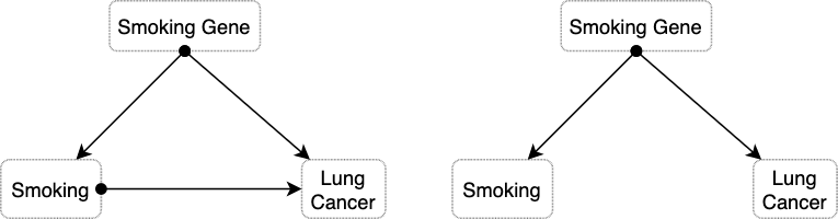 The causal diagram on the left presents the situation in which the constitutional hypothesis is insufficient to explain the association between smoking and lung cancer. The diagram on the right side depicts the alternative situation in which the smoking gene fully explains the observed association.
